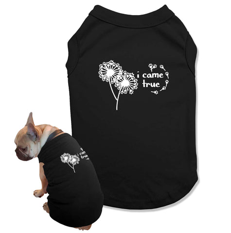 Matching Dog and Owner Shirts I Made a Wish