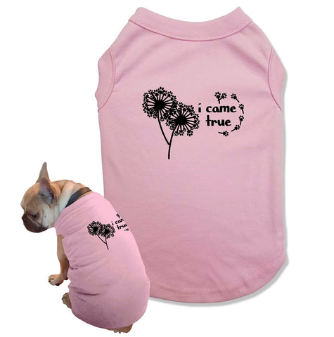 Matching Dog and Owner Shirts I Made a Wish